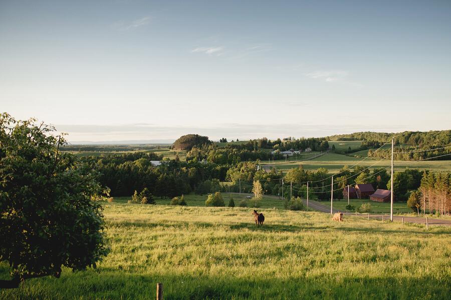 Chalet Le St-Sylvestre