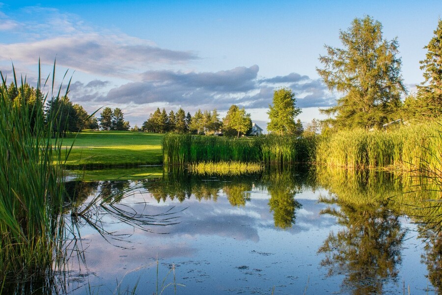 Club de golf coop. Lac-Etchemin